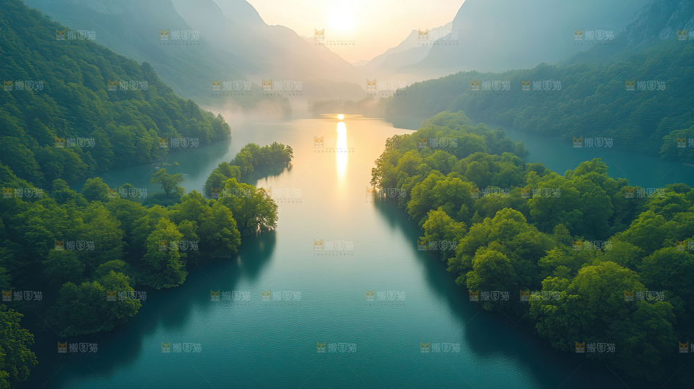 湿地栖息地沼泽自然环境保护区森林绿色