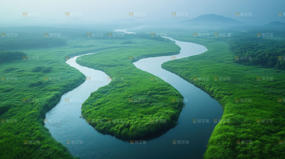 湿地栖息地沼泽自然环境保护区森林绿色
