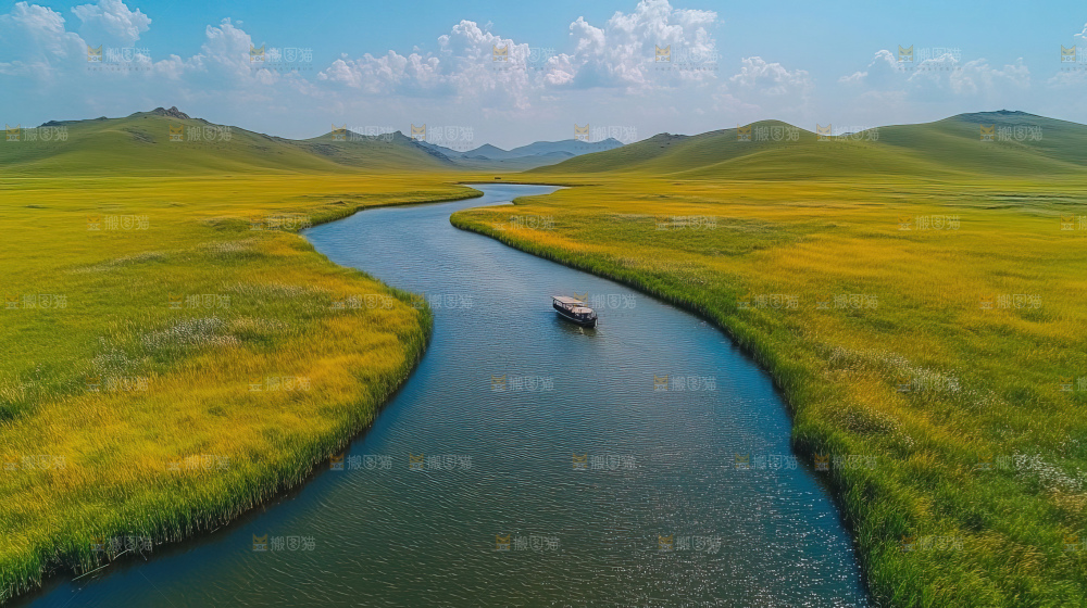 湿地栖息地沼泽自然环境保护区森林绿色