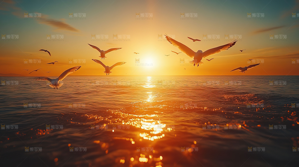 大海 海鸥 纯净 宁静 自然 风景
