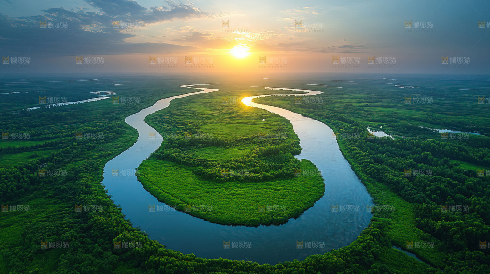 湿地栖息地沼泽自然环境保护区森林绿色