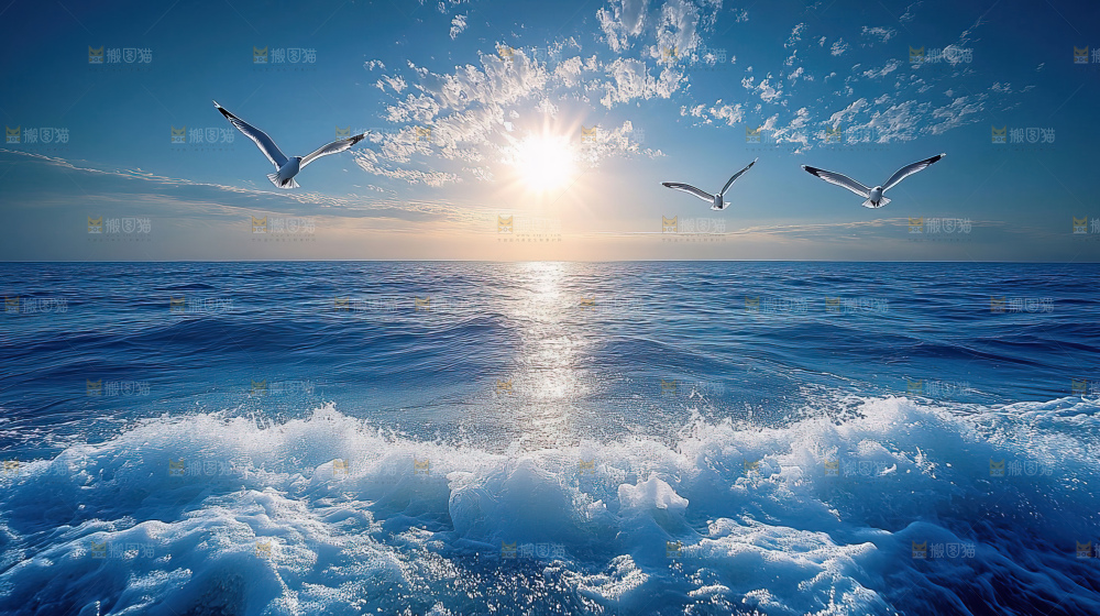 大海 海鸥 纯净 宁静 自然 风景