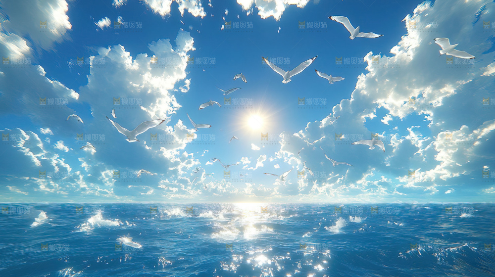 大海 海鸥 纯净 宁静 自然 风景