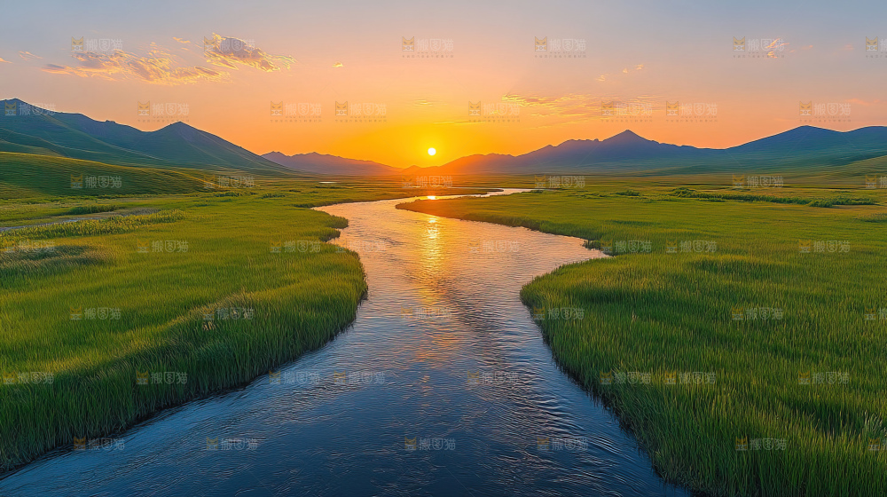 湿地栖息地沼泽自然环境保护区森林绿色