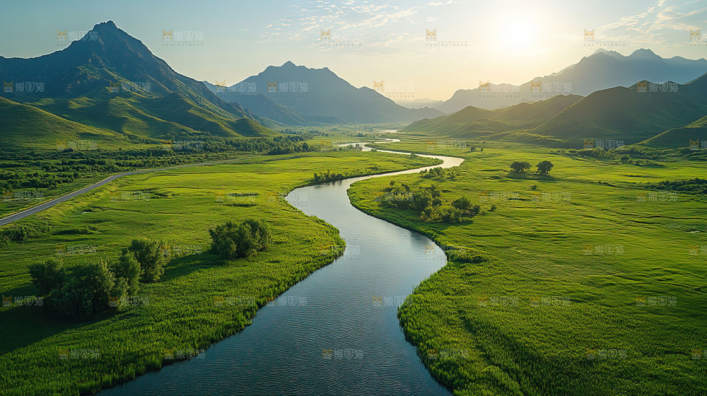 湿地栖息地沼泽自然环境保护区森林绿色