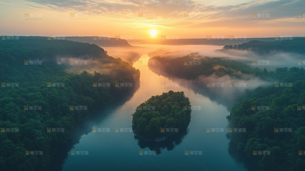 湿地栖息地沼泽自然环境保护区森林绿色