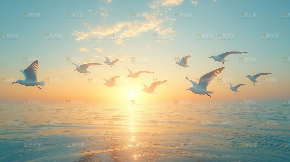 大海 海鸥 纯净 宁静 自然 风景