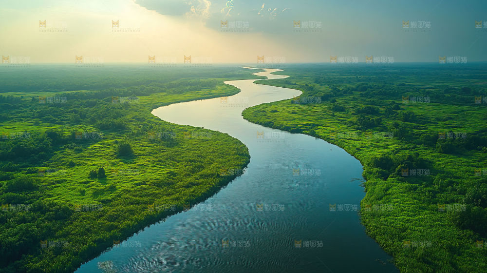 湿地栖息地沼泽自然环境保护区森林绿色