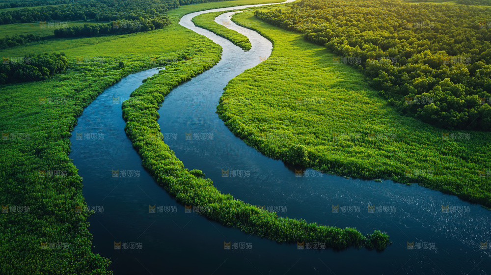 湿地栖息地沼泽自然环境保护区森林绿色