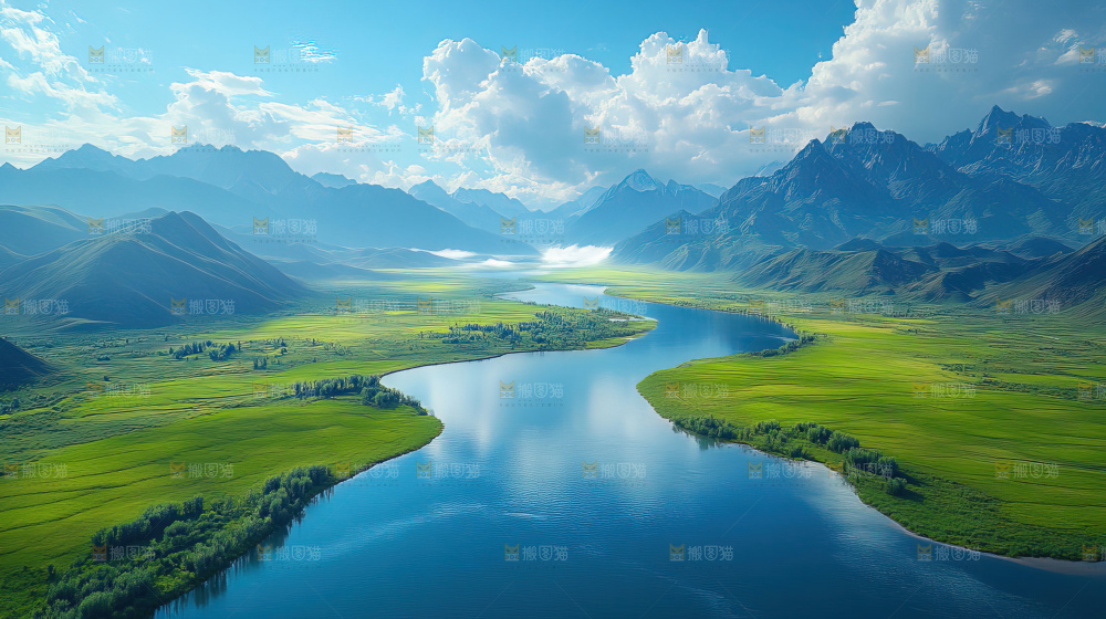 湿地栖息地沼泽自然环境保护区森林绿色