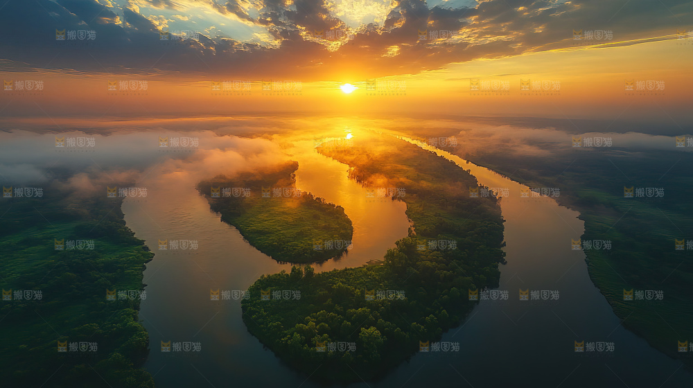 湿地栖息地沼泽自然环境保护区森林绿色