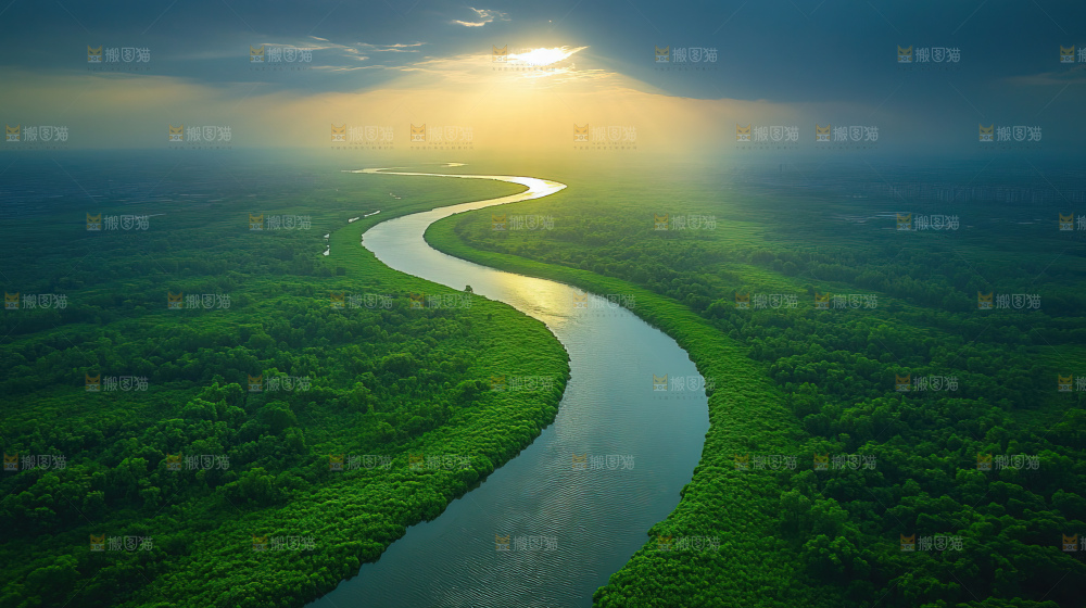 湿地栖息地沼泽自然环境保护区森林绿色