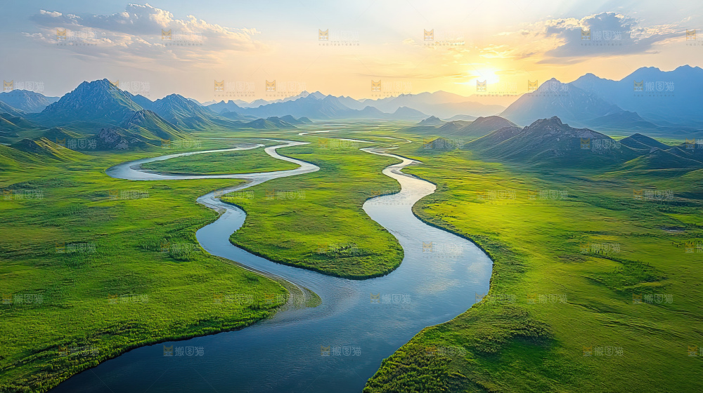 湿地栖息地沼泽自然环境保护区森林绿色
