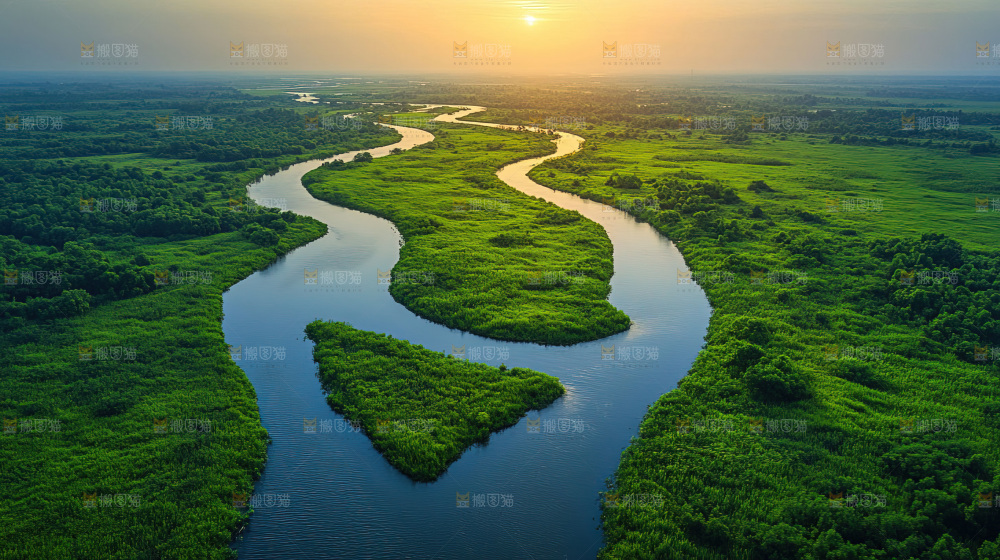 湿地栖息地沼泽自然环境保护区森林绿色