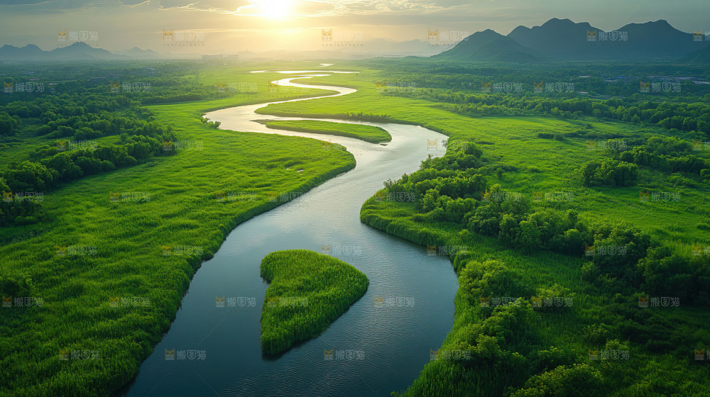 湿地栖息地沼泽自然环境保护区森林绿色