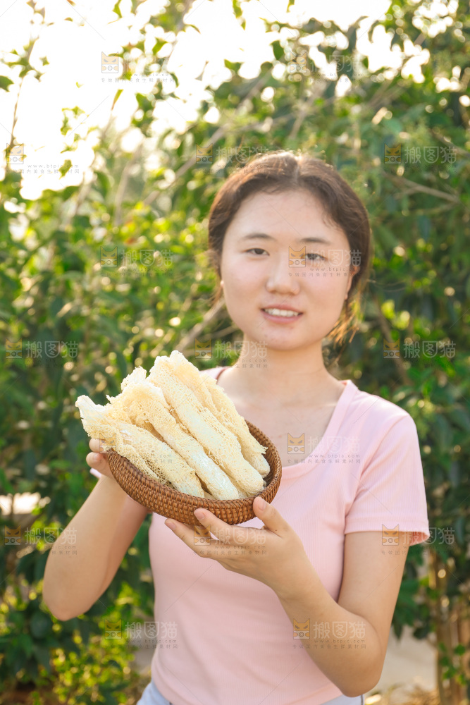 竹荪