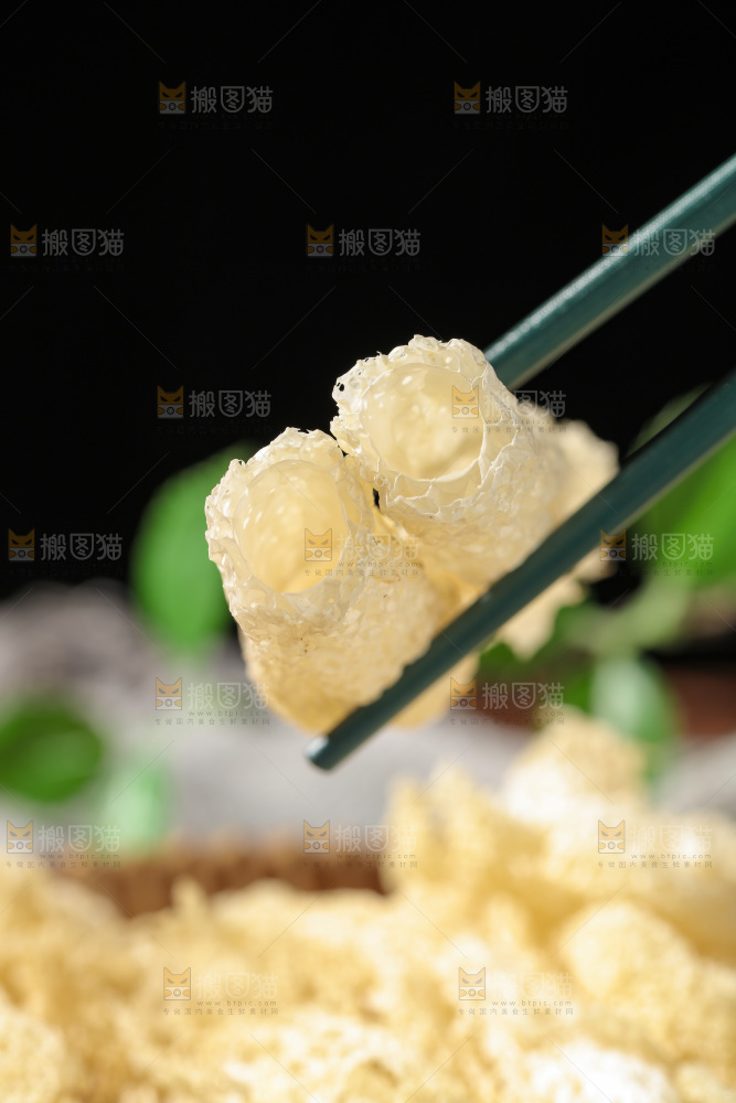 竹荪