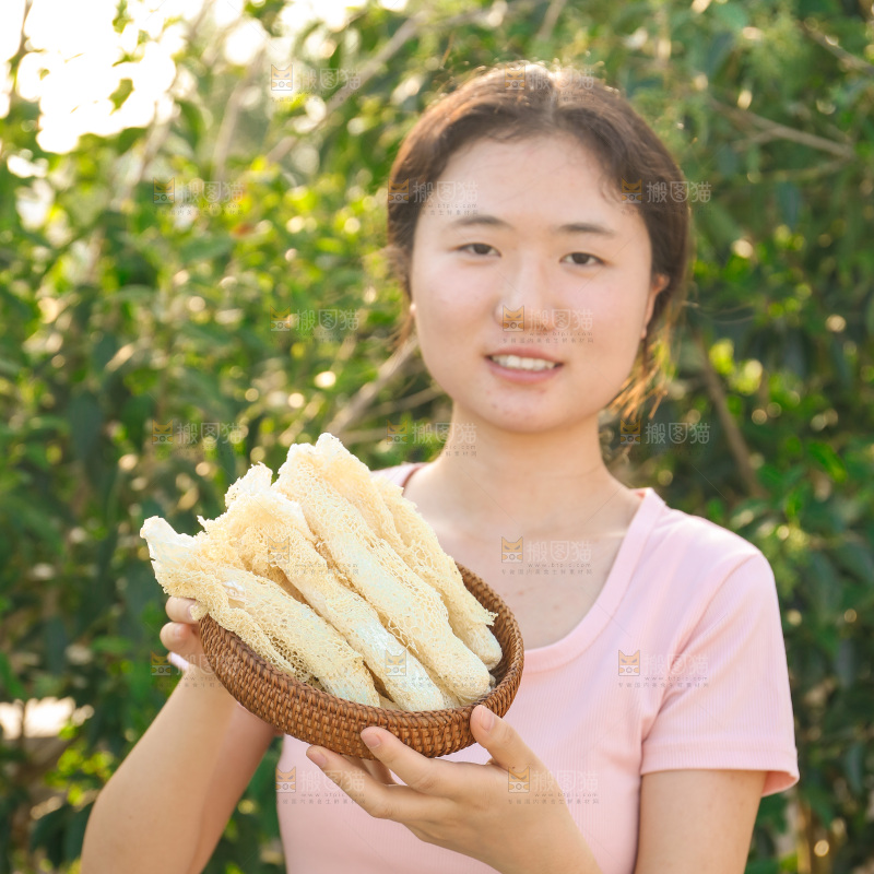 竹荪