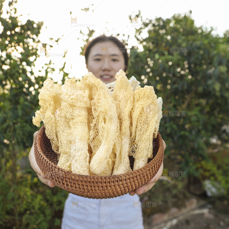 竹荪
