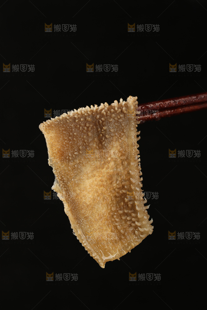 毛肚