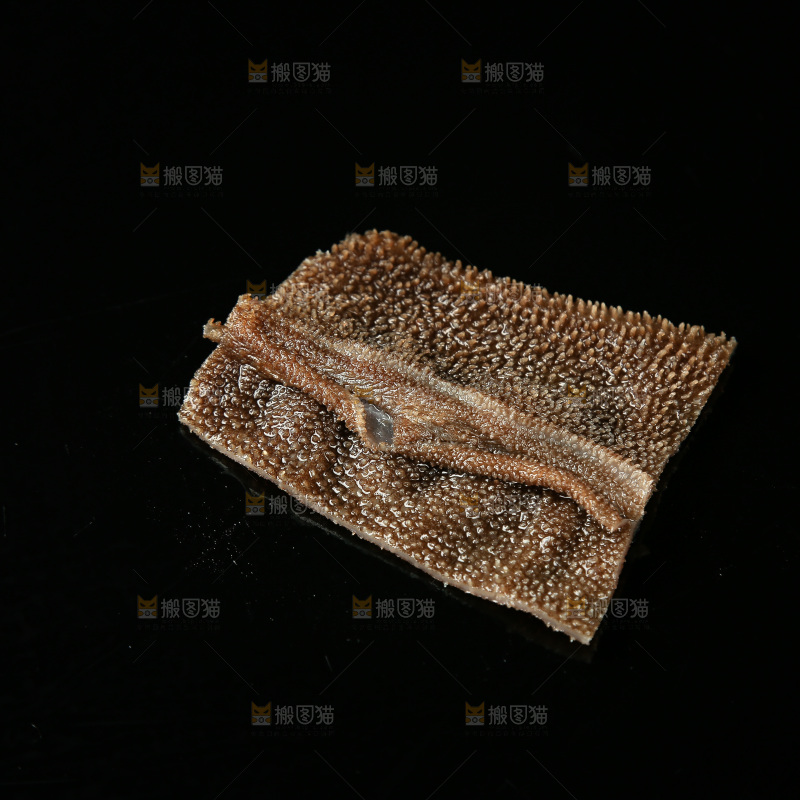 毛肚