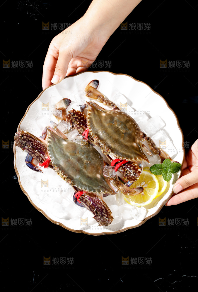 梭子蟹