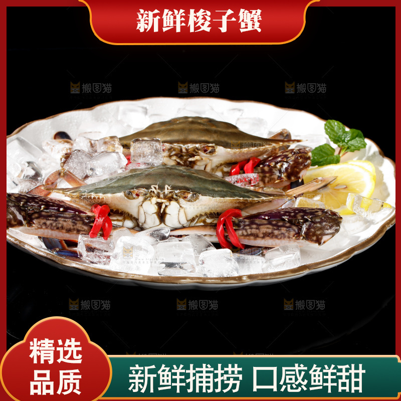 梭子蟹