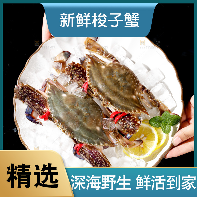 梭子蟹