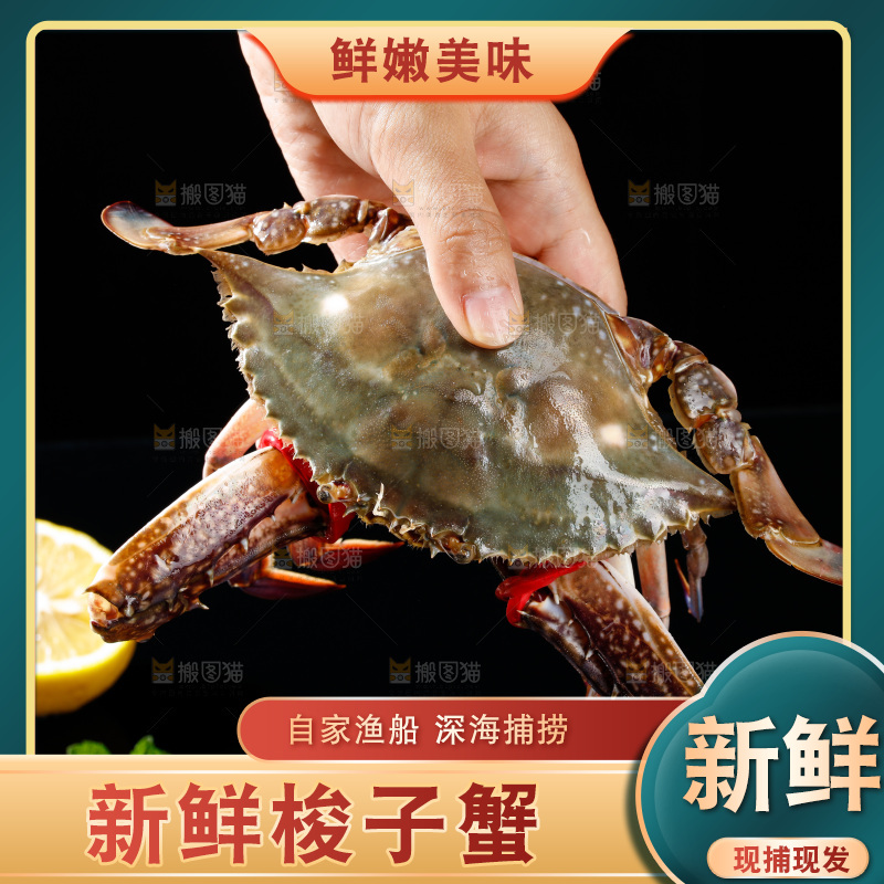 梭子蟹