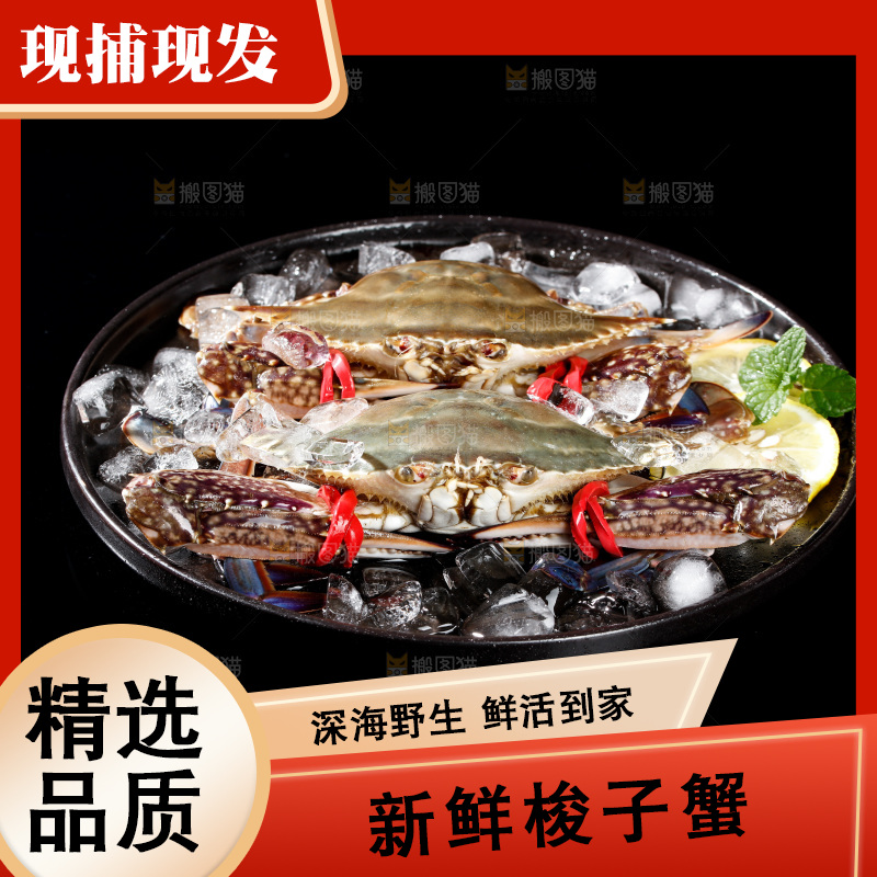 梭子蟹