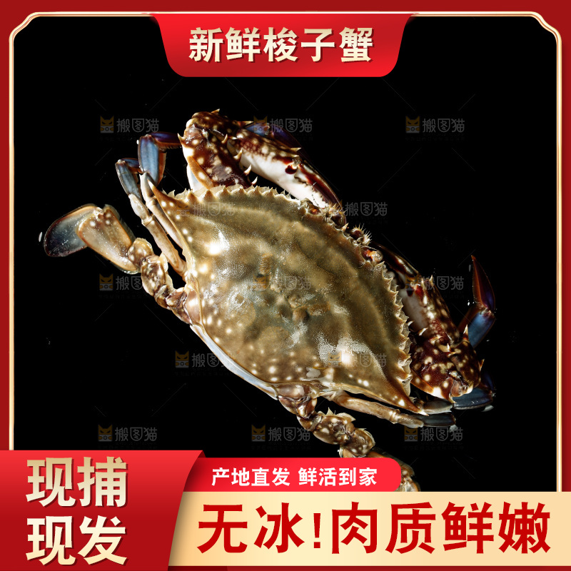 梭子蟹