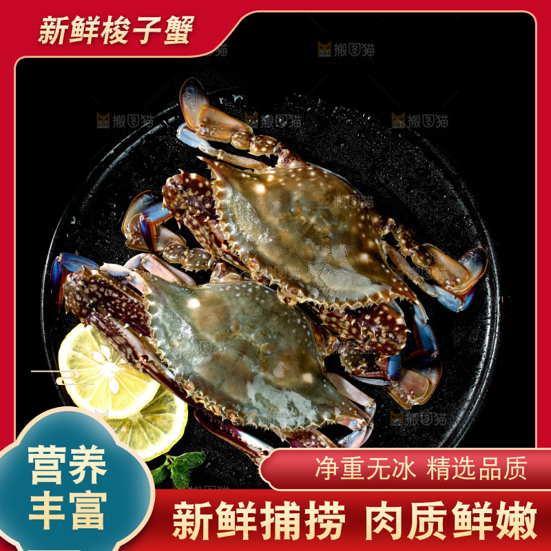 梭子蟹