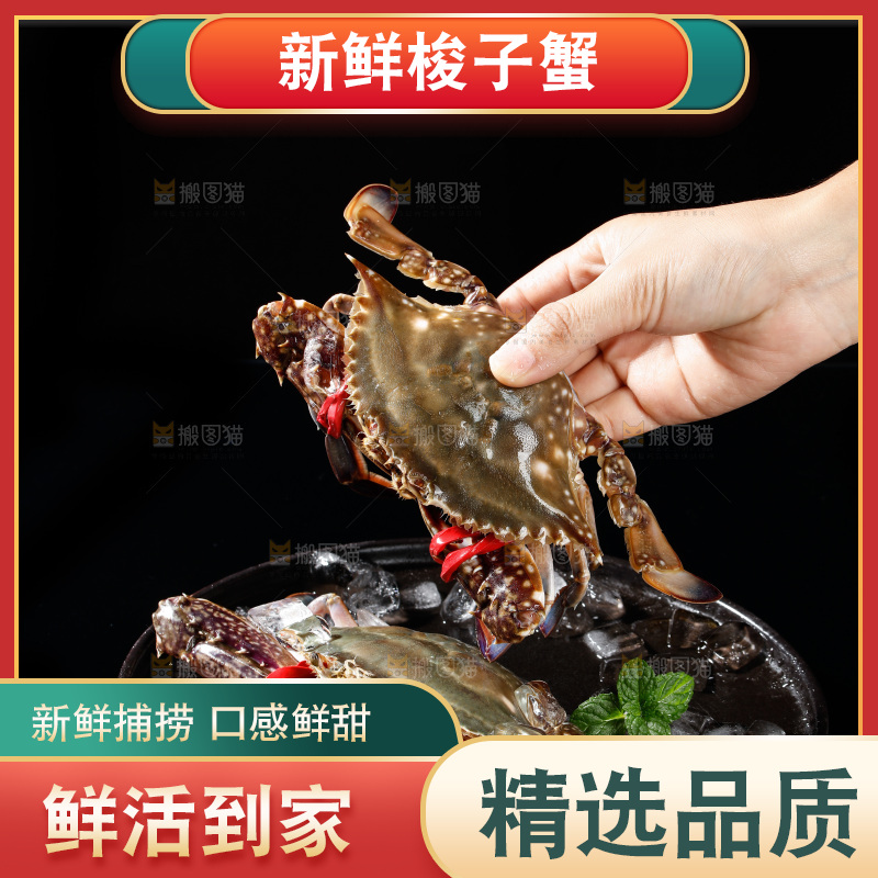 梭子蟹