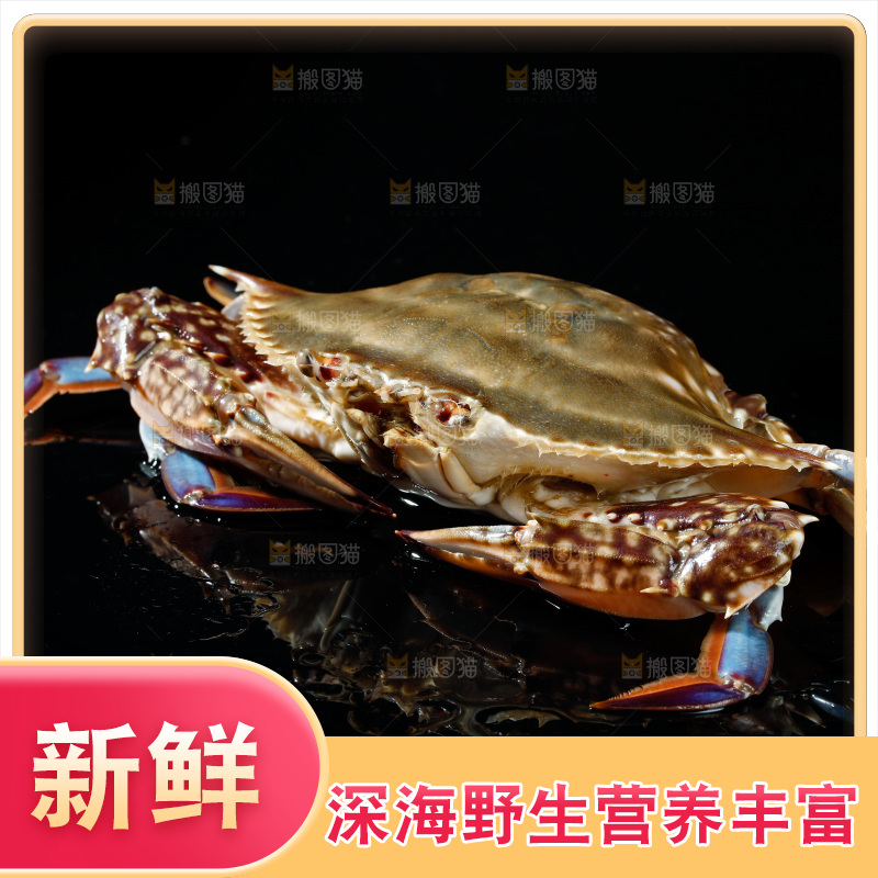 梭子蟹