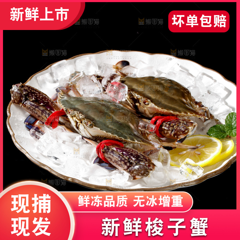 梭子蟹