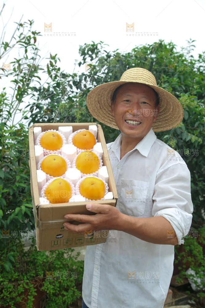 五原黄柿子