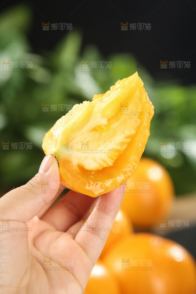 五原黄柿子