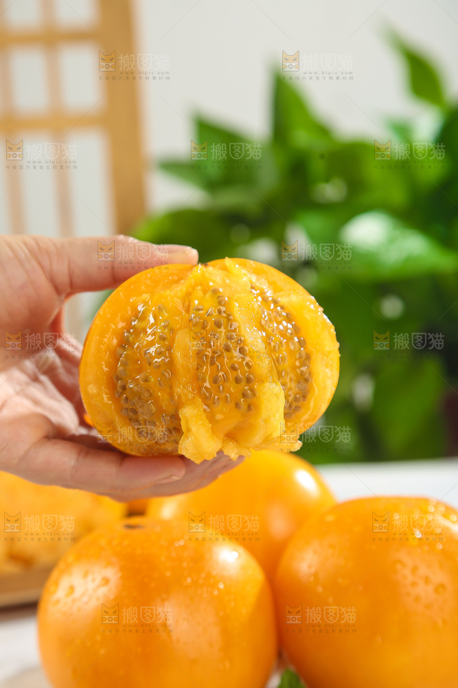 五原黄柿子