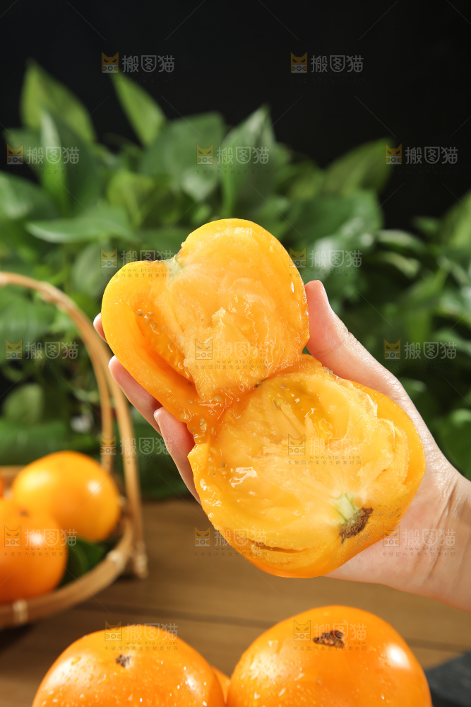 五原黄柿子