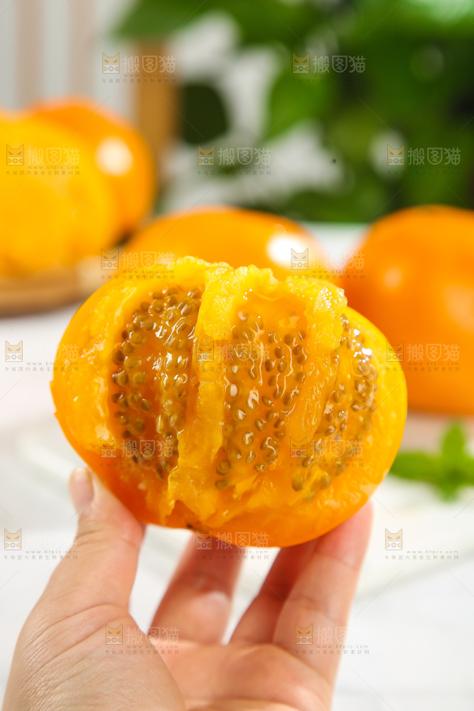 五原黄柿子