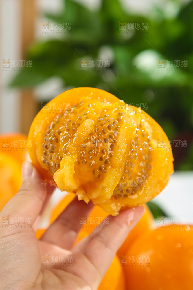 五原黄柿子