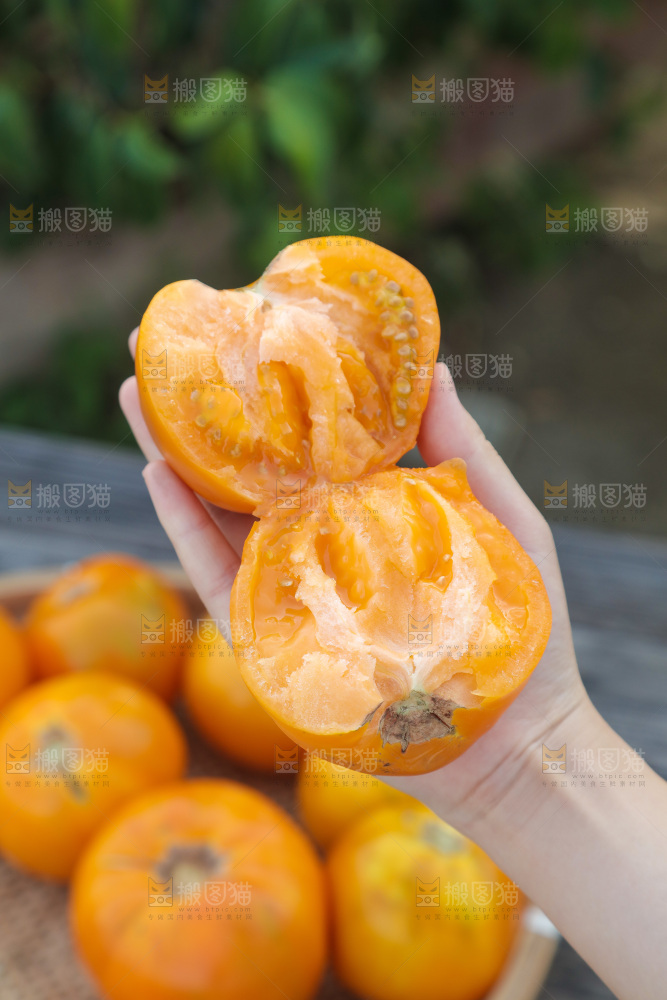 五原黄柿子