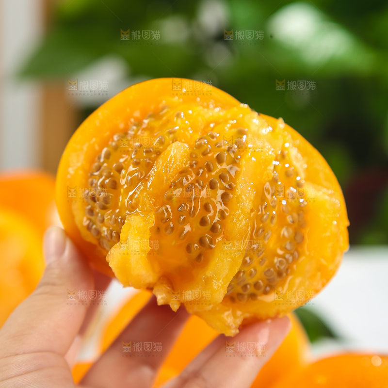 五原黄柿子