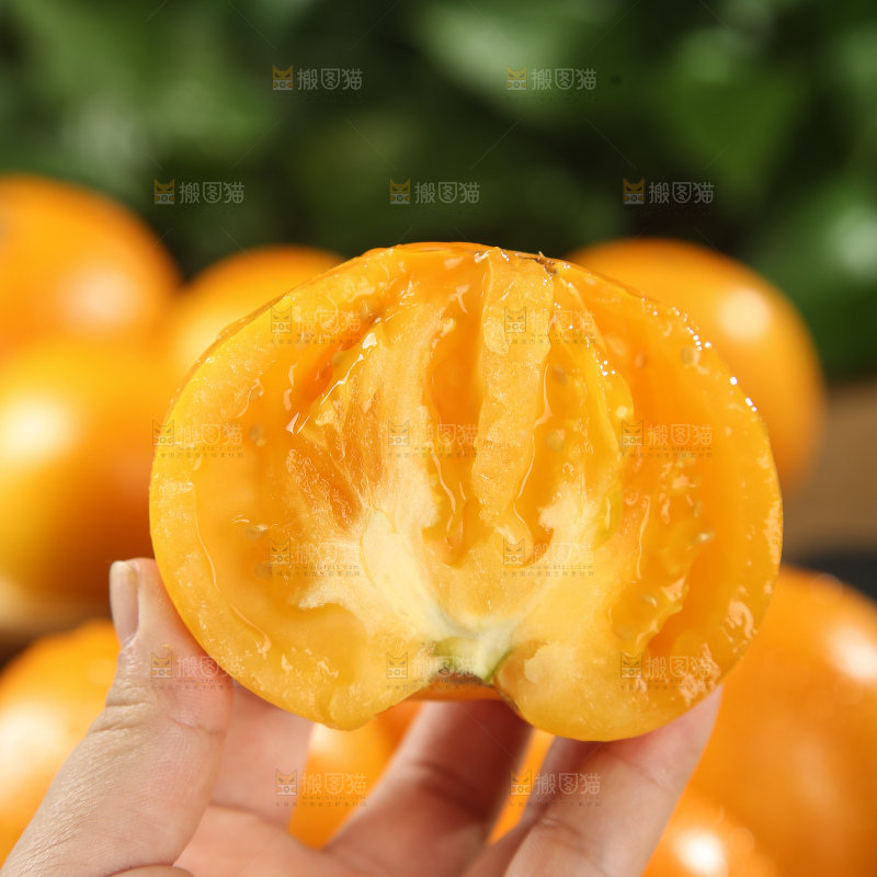 五原黄柿子