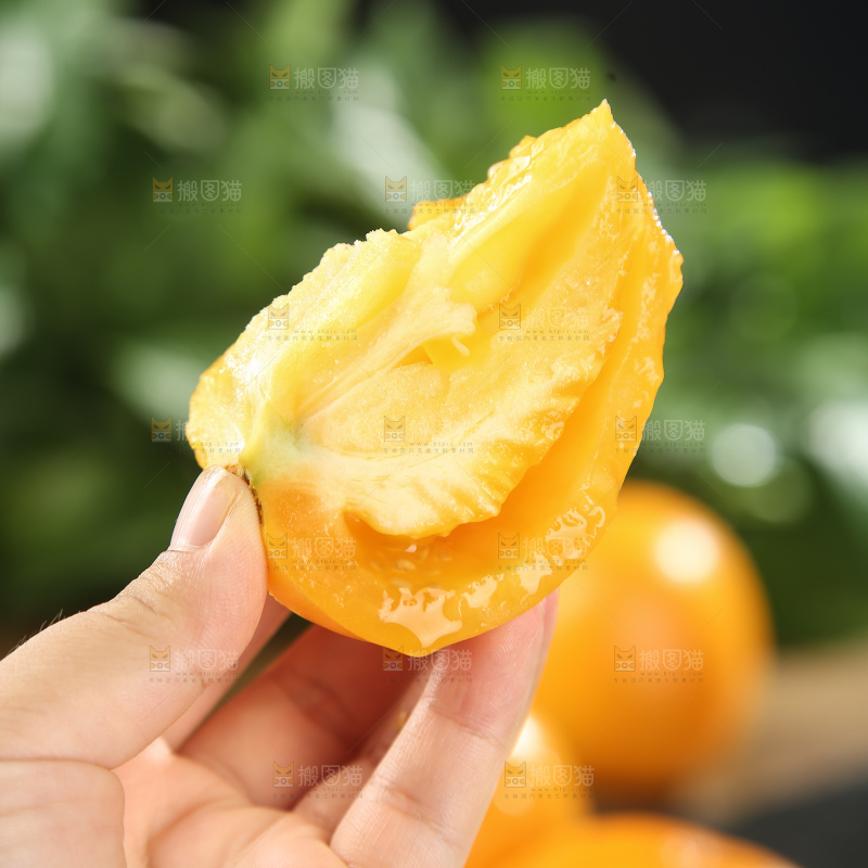 五原黄柿子