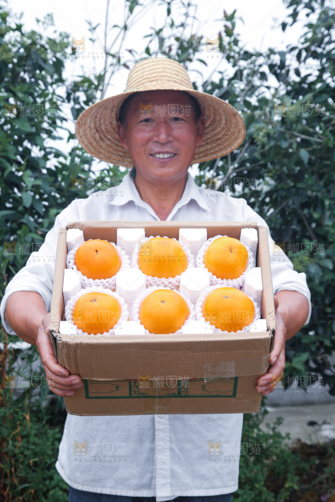 五原黄柿子