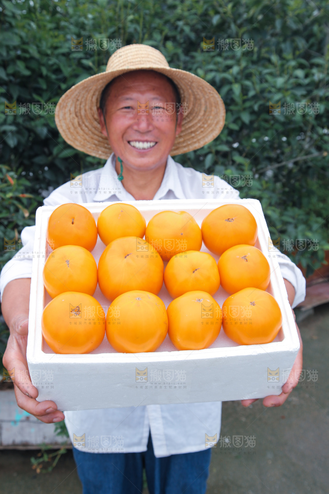 五原黄柿子