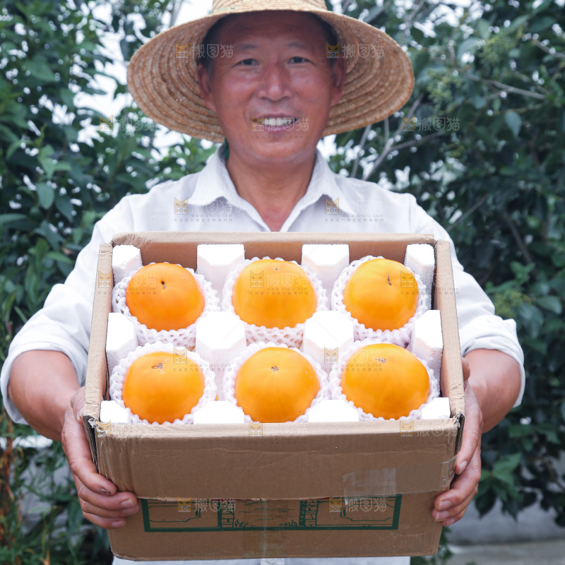 五原黄柿子