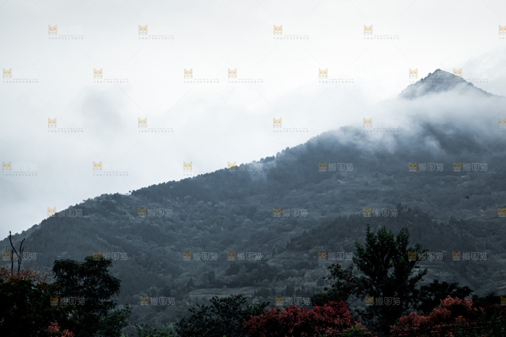 深山风景 云海