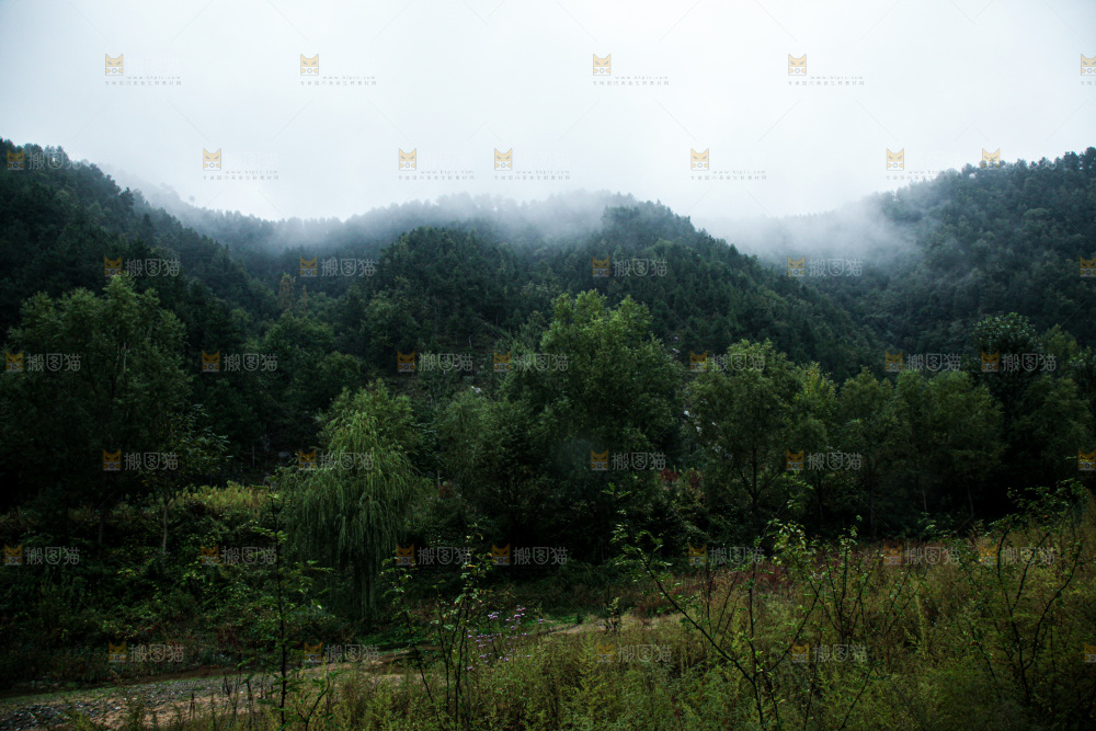 深山风景 云海